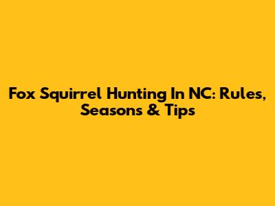 Fox Squirrel Hunting In NC: Rules, Seasons & Tips