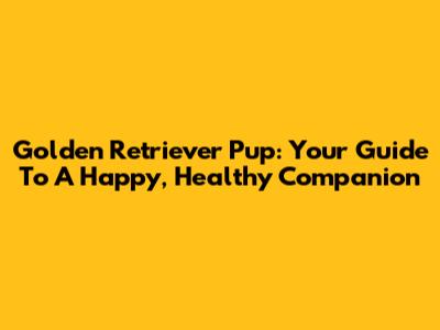 Golden Retriever Pup: Your Guide To A Happy, Healthy Companion