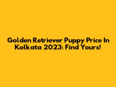 Golden Retriever Puppy Price In Kolkata 2023: Find Yours!