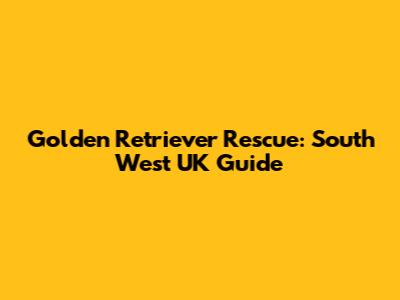 Golden Retriever Rescue: South West UK Guide