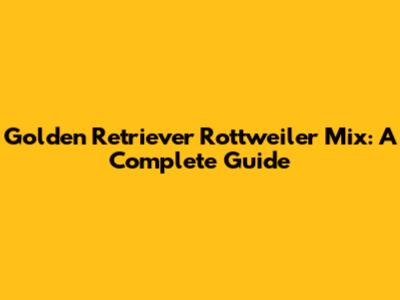 Golden Retriever Rottweiler Mix: A Complete Guide