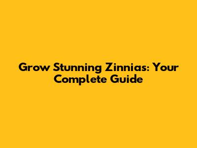Grow Stunning Zinnias: Your Complete Guide
