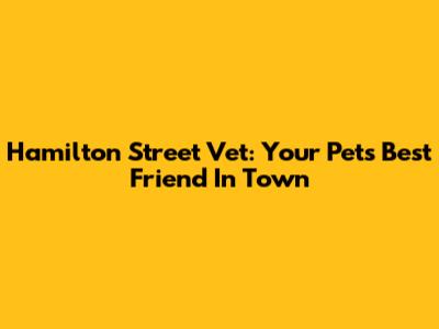 Hamilton Street Vet: Your Pet's Best Friend In Town