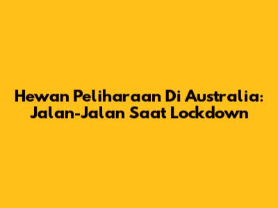 Hewan Peliharaan Di Australia: Jalan-Jalan Saat Lockdown