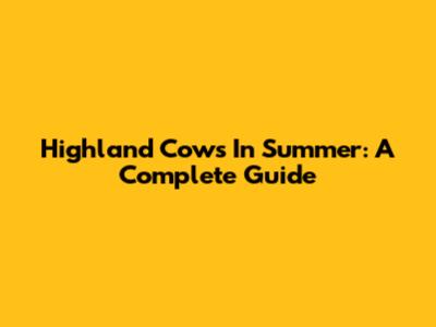 Highland Cows In Summer: A Complete Guide