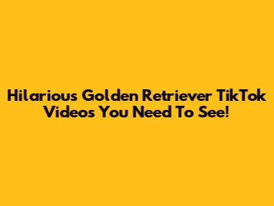 Hilarious Golden Retriever TikTok Videos You Need To See!