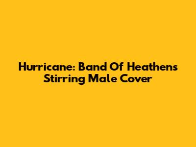 Hurricane: Band Of Heathens' Stirring Male Cover