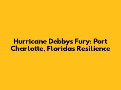 Hurricane Debby's Fury: Port Charlotte, Florida's Resilience