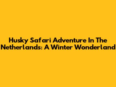 Husky Safari Adventure In The Netherlands: A Winter Wonderland