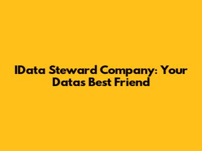 IData Steward Company: Your Data's Best Friend