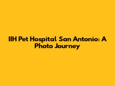 IIH Pet Hospital San Antonio: A Photo Journey