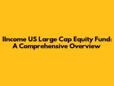 IIncome US Large Cap Equity Fund: A Comprehensive Overview