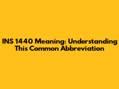 INS 1440 Meaning: Understanding This Common Abbreviation