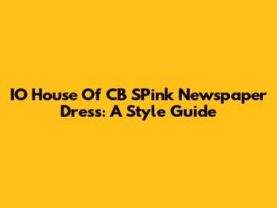IO House Of CB SPink Newspaper Dress: A Style Guide