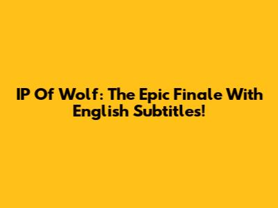 IP Of Wolf: The Epic Finale With English Subtitles!