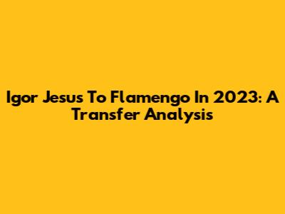 Igor Jesus To Flamengo In 2023: A Transfer Analysis