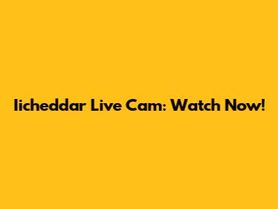 Iicheddar Live Cam: Watch Now!
