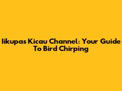 Iikupas Kicau Channel: Your Guide To Bird Chirping