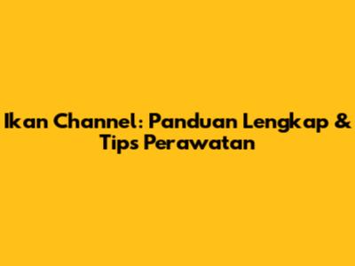 Ikan Channel: Panduan Lengkap & Tips Perawatan