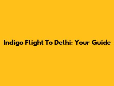 Indigo Flight To Delhi: Your Guide