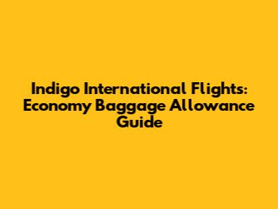 Indigo International Flights: Economy Baggage Allowance Guide