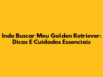 Indo Buscar Meu Golden Retriever: Dicas E Cuidados Essenciais