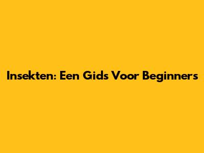 Insekten: Een Gids Voor Beginners