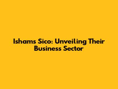 Ishams Sico: Unveiling Their Business Sector
