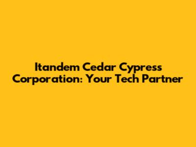 Itandem Cedar Cypress Corporation: Your Tech Partner