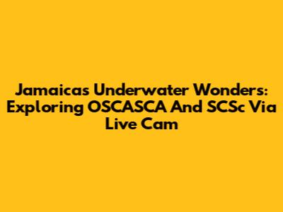 Jamaica's Underwater Wonders: Exploring OSCASCA And SCSc Via Live Cam