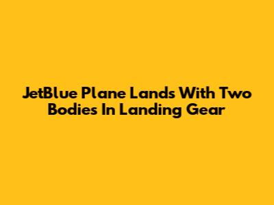 JetBlue Plane Lands With Two Bodies In Landing Gear