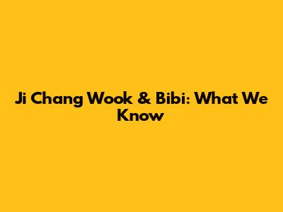 Ji Chang Wook & Bibi: What We Know