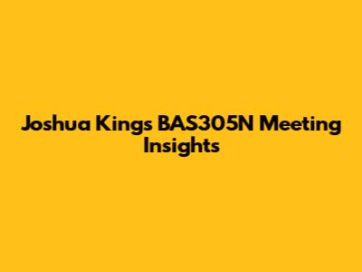 Joshua King's BAS305N Meeting Insights