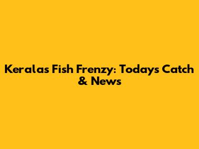 Kerala's Fish Frenzy: Today's Catch & News
