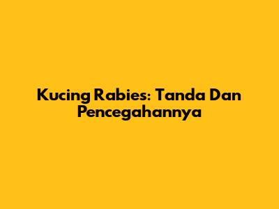 Kucing Rabies: Tanda Dan Pencegahannya