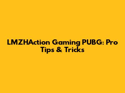 LMZHAction Gaming PUBG: Pro Tips & Tricks