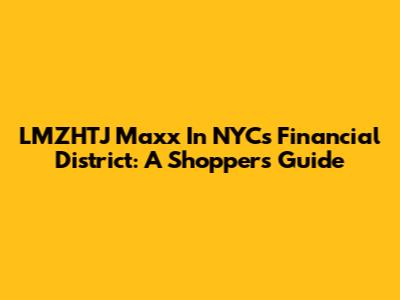 LMZHTJ Maxx In NYC's Financial District: A Shopper's Guide