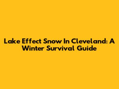 Lake Effect Snow In Cleveland: A Winter Survival Guide