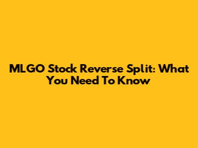 MLGO Stock Reverse Split: What You Need To Know