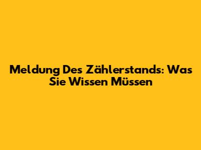 Meldung Des Zählerstands: Was Sie Wissen Müssen