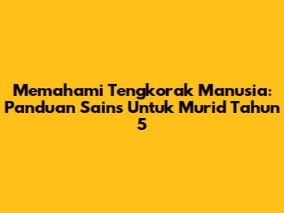 Memahami Tengkorak Manusia: Panduan Sains Untuk Murid Tahun 5