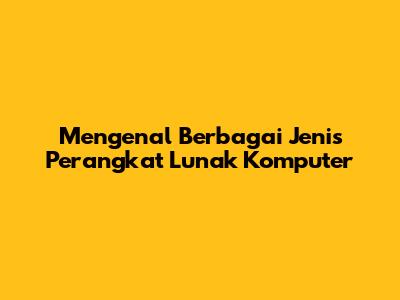 Mengenal Berbagai Jenis Perangkat Lunak Komputer