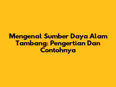 Mengenal Sumber Daya Alam Tambang: Pengertian Dan Contohnya