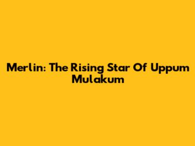 Merlin: The Rising Star Of Uppum Mulakum