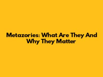 Metazories: What Are They And Why They Matter