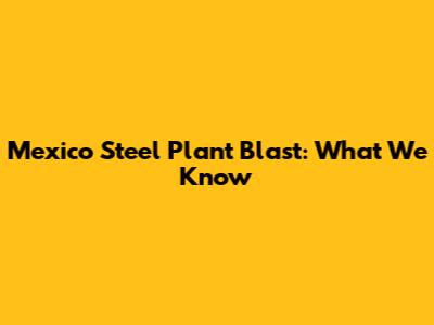 Mexico Steel Plant Blast: What We Know