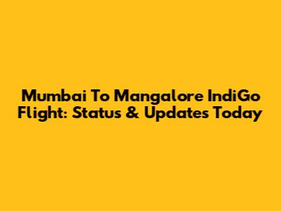 Mumbai To Mangalore IndiGo Flight: Status & Updates Today
