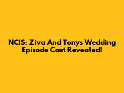 NCIS: Ziva And Tony's Wedding Episode Cast Revealed!