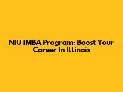 NIU IMBA Program: Boost Your Career In Illinois