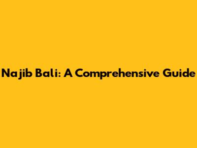 Najib Bali: A Comprehensive Guide